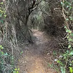Ancora Del Sud 奥特朗托