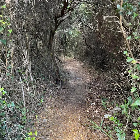 Ancora Del Sud Otrante